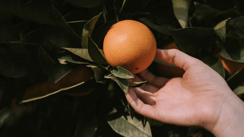 superfood nahrungsergänzungsmittel clav-health